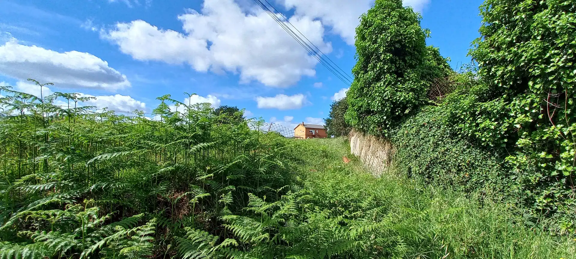 Terreni e lotti in vendita a Pombo, imagen 19