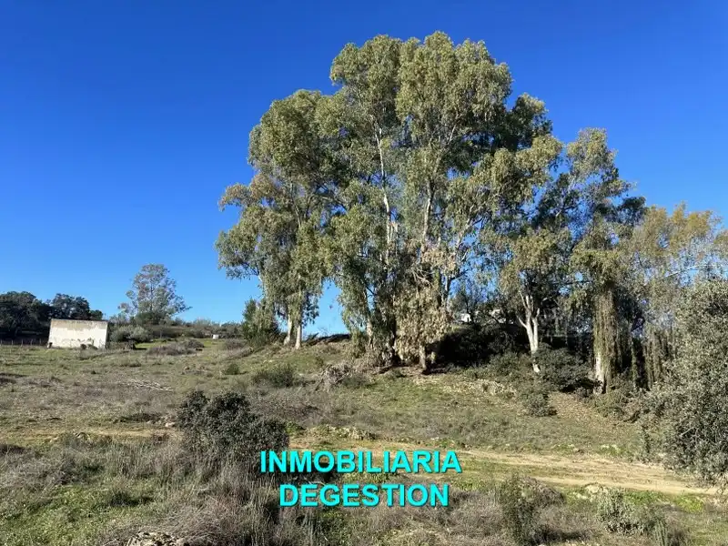 Terreni e lotti in vendita a Andújar, imagen 25