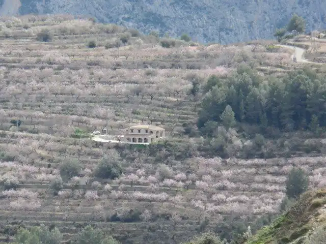 Exterior view of Country homes for sale in Tàrbena