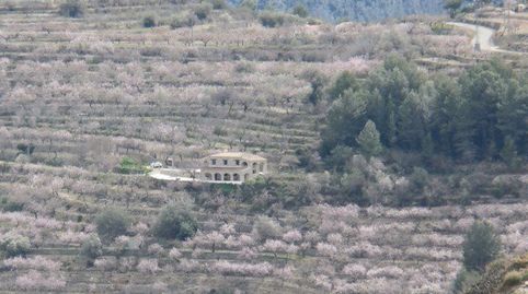 Foto 5 de Finca rústica en venda a N/a, -1, Tàrbena, Alicante