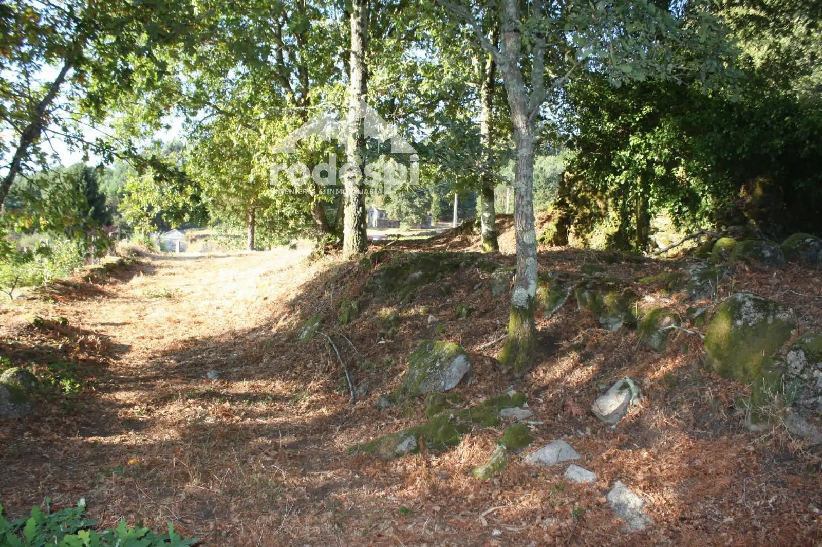 Lands and plots for sale in Mondariz, imagen 7
