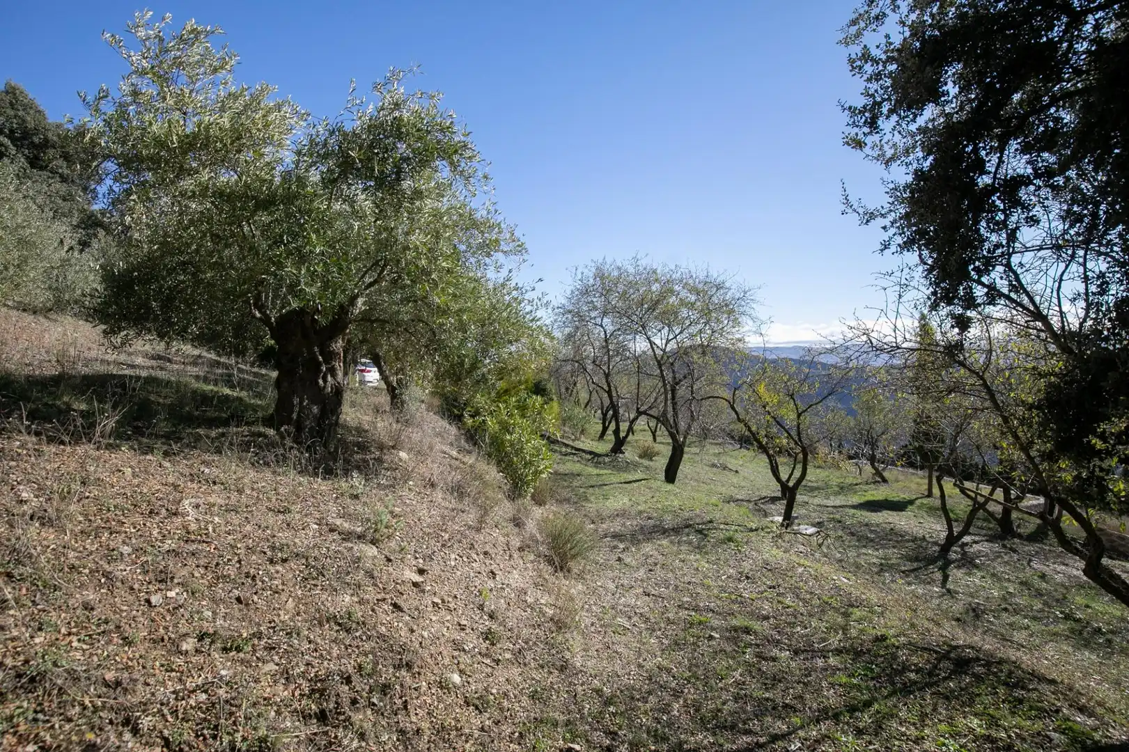 Finca rústica en venda en La Taha