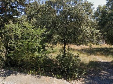 Wohnbaugrundstück zum Verkauf in Àger