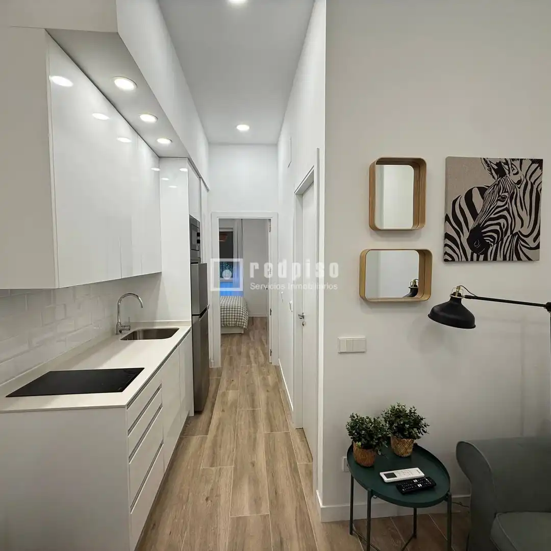 Küche von Wohnung zur Miete in Madrid mit Klimaanlage, Heizung und Privatgarten