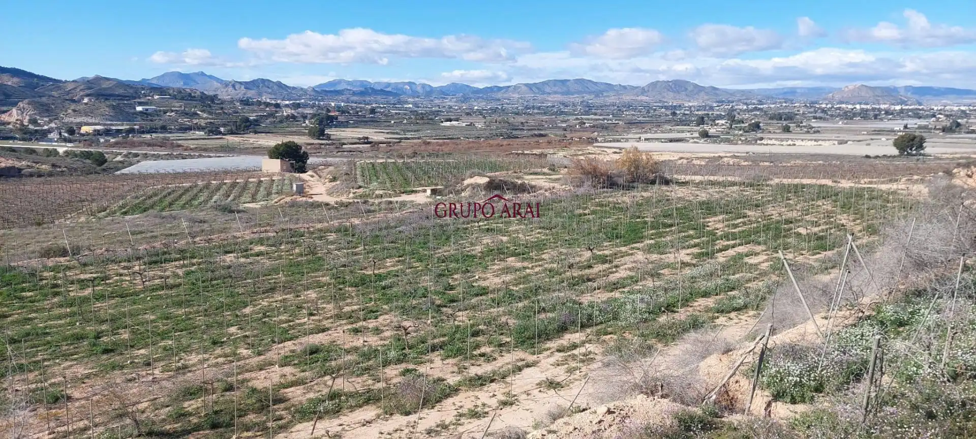 Terreno rústico en venta en Avenida del Mediterráneo, imagen 13