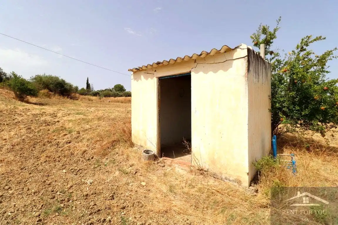 Terreni e lotti in vendita a Centro, imagen 10