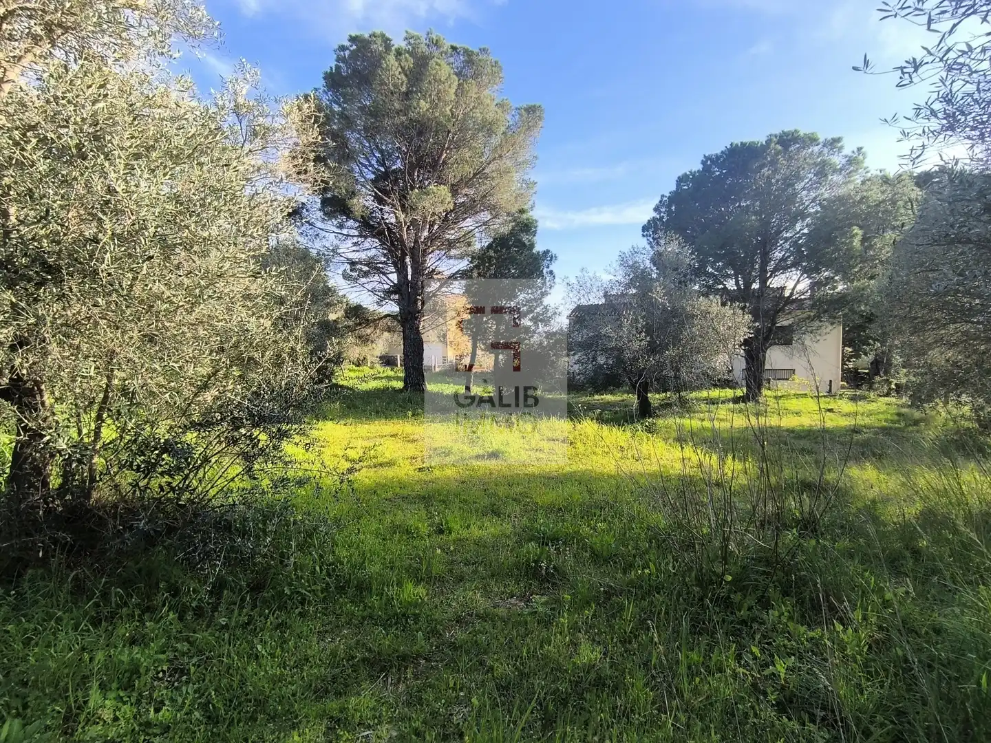 Terreni e lotti in vendita a Pau, imagen 5