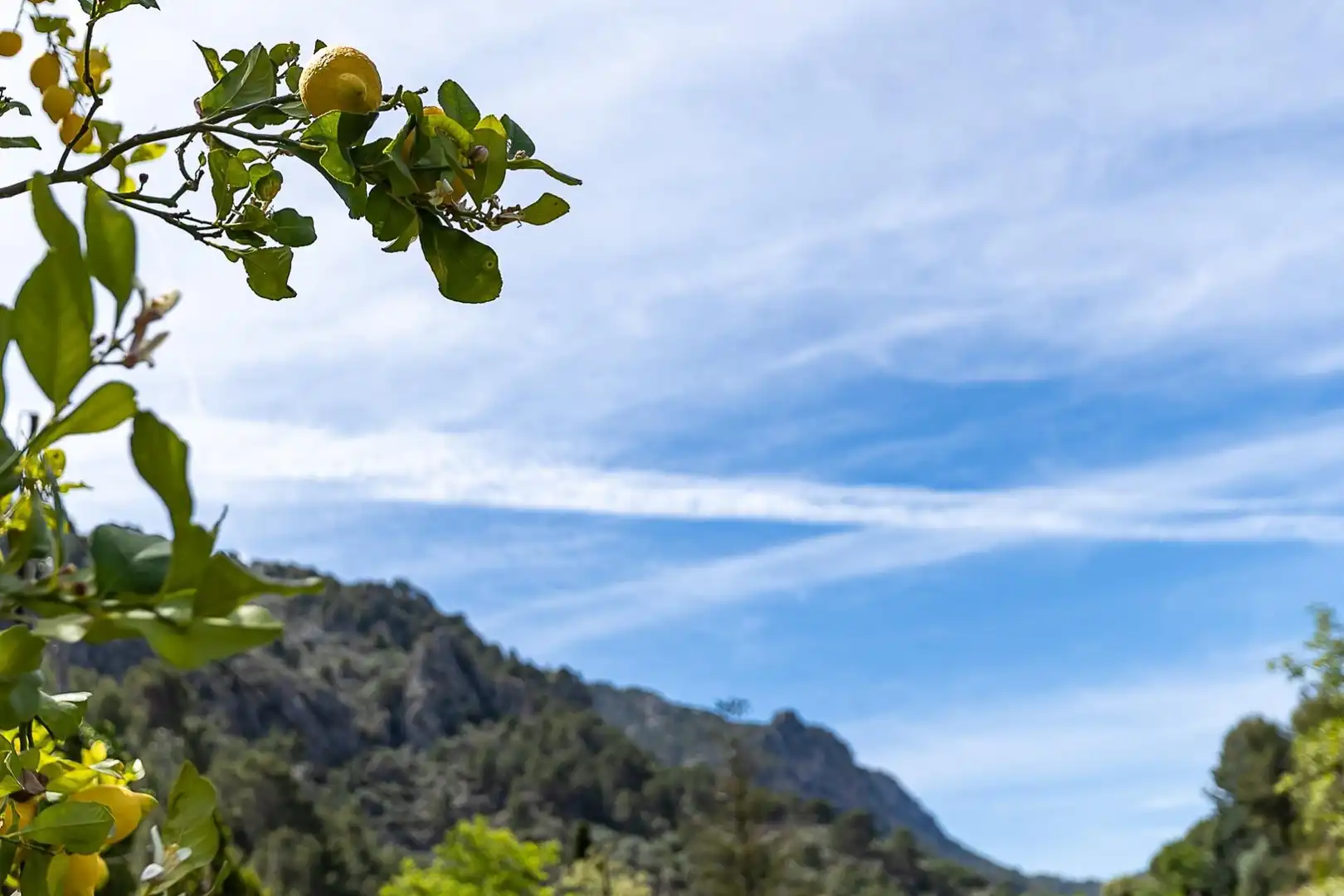 Vista exterior de Finca rústica en venda en Sóller amb Terrassa