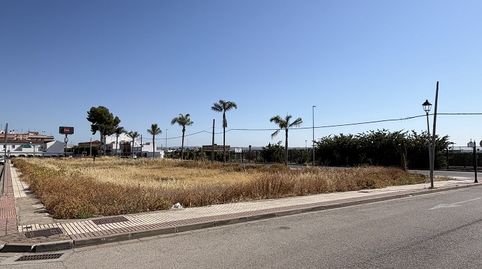SOLARES DE ESQUINA EN VENTA EN LA LOCALIDAD DE TOCINA (SEVILLA), immagine 2