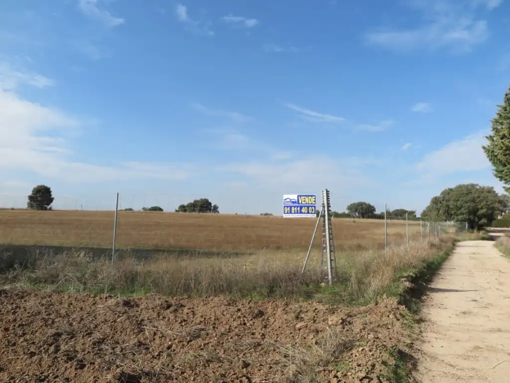 Casa o chalet en venta en Diseminados Camino Casa Roque, 294, La Dehesa - El Pinar