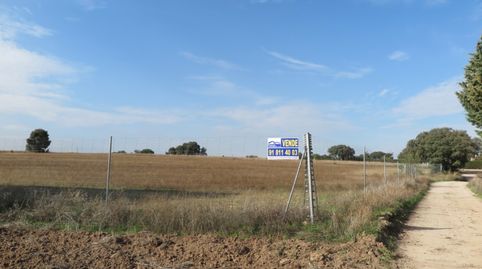 Foto 5 de Casa o xalet en venda a Diseminados Camino Casa Roque, 294, La Dehesa - El Pinar, Navalcarnero