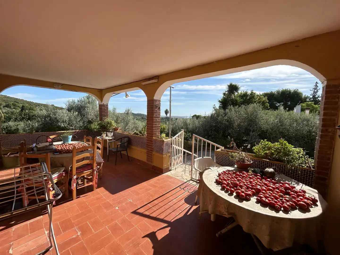 Villa mit Pool zum Verkauf in Alcanar, imagen 19