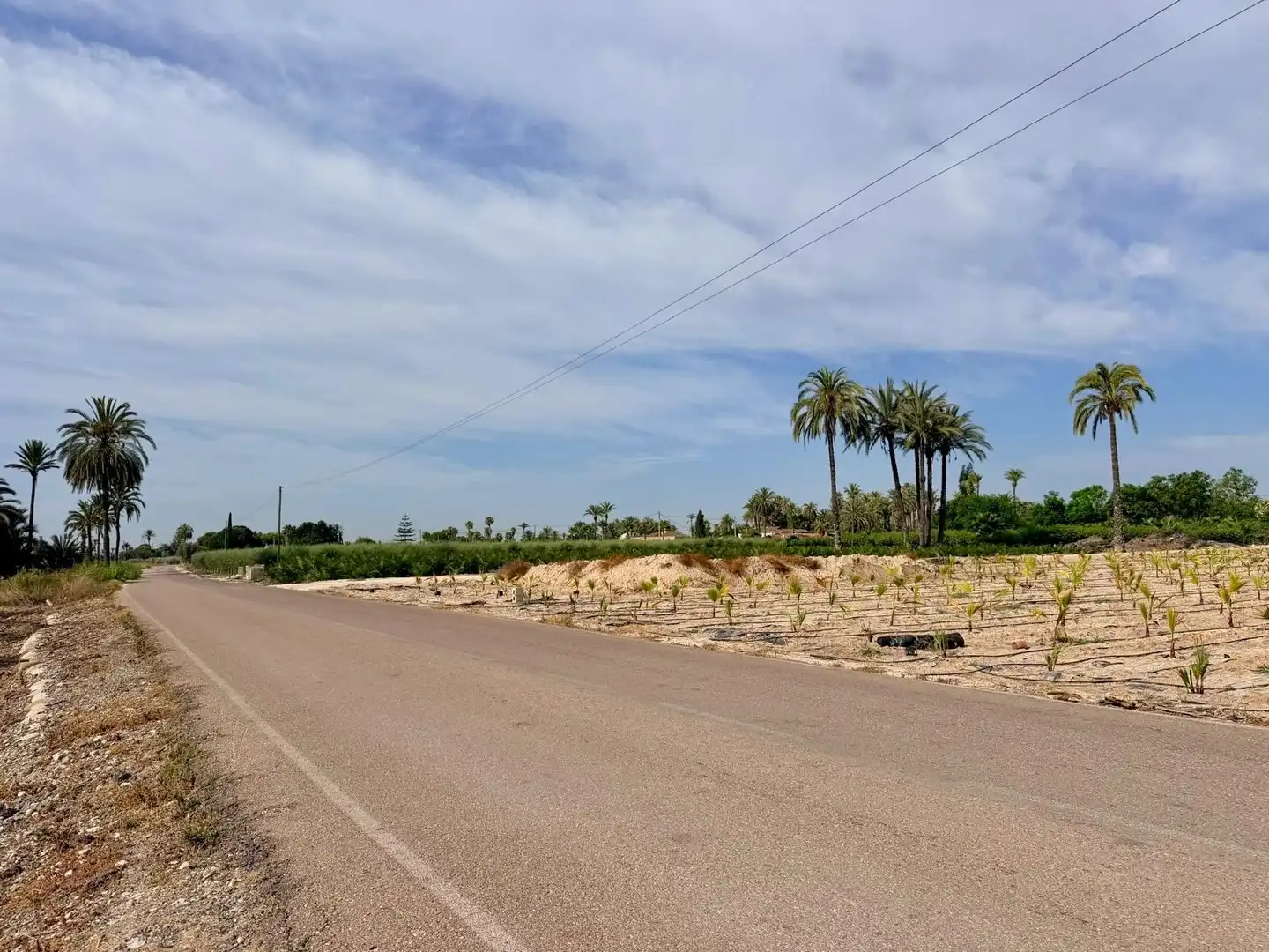 Houses for sale in Elche / Elx