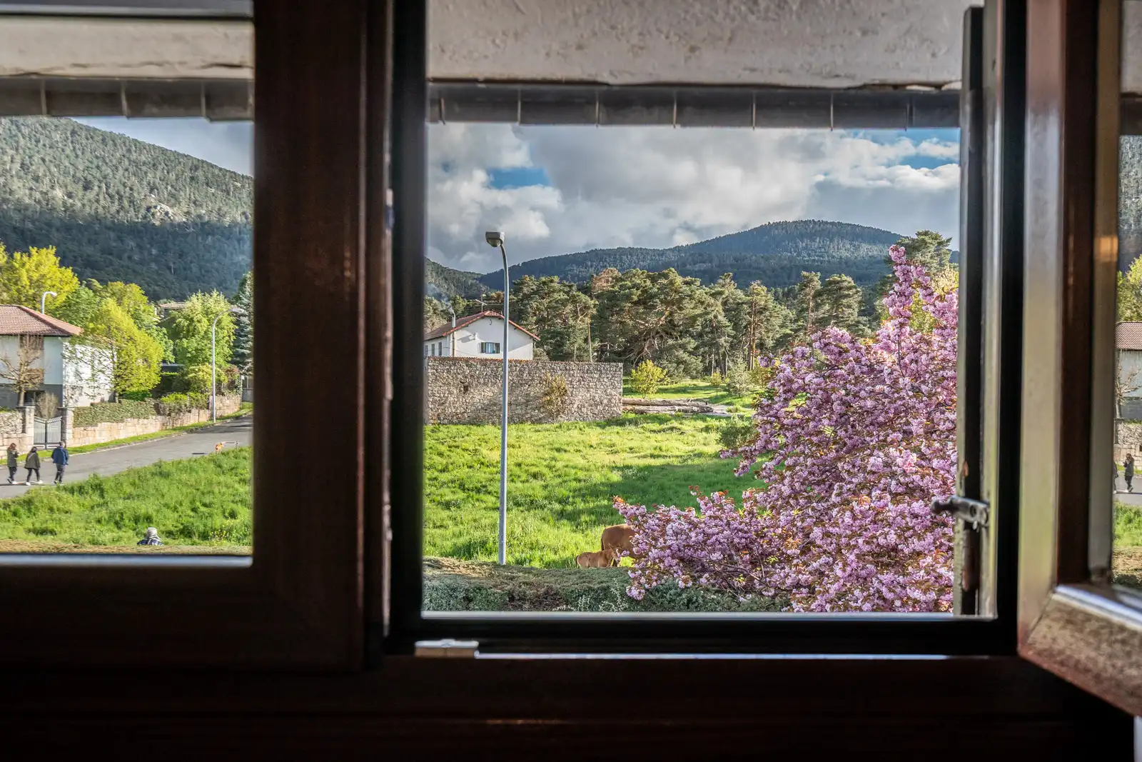 Garden of Houses for sale in El Espinar  with Heating, Private garden and Terrace