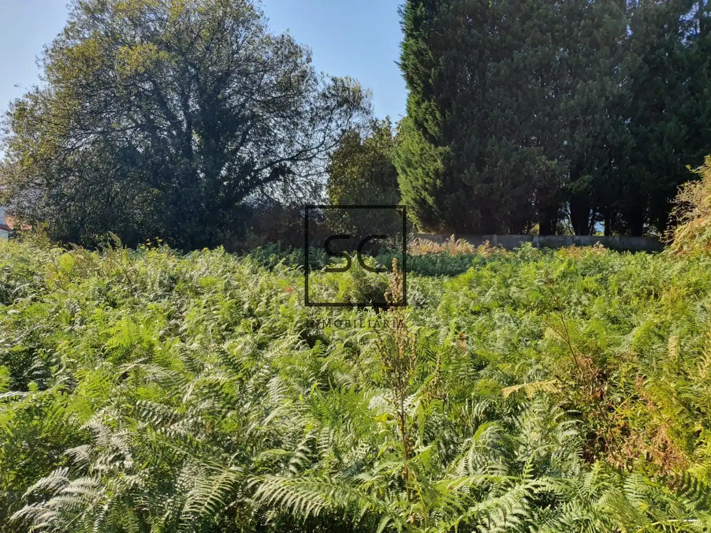 Wohnbaugrundstück zum Verkauf in BARCIAS, imagen 5