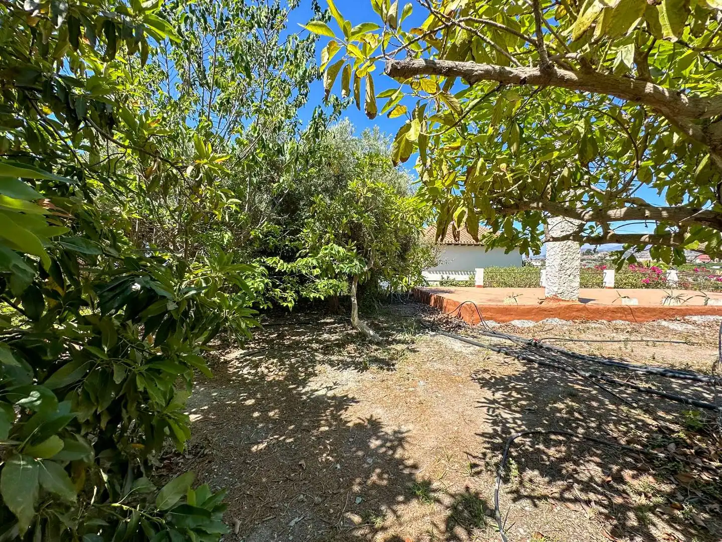 Jardín de Casa o chalet en venta en Motril con Calefacción, Terraza y Trastero