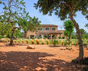 Garden of Country house for sale in Santa María del Camí  with Air Conditioner, Private garden and Terrace