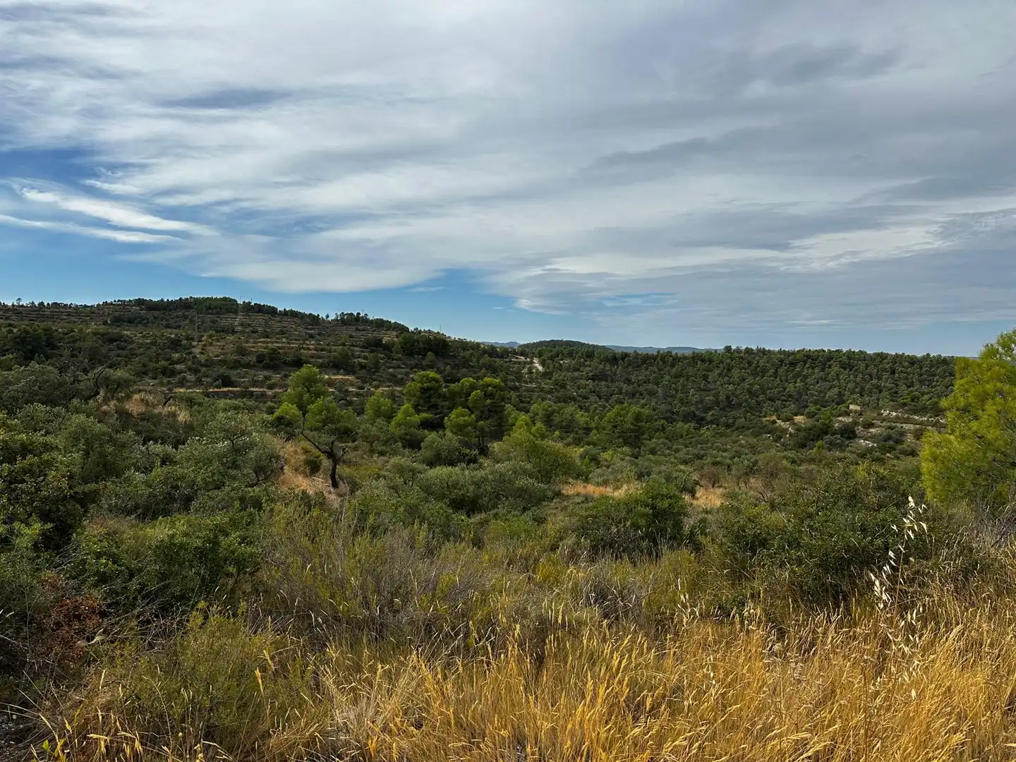 Terreny rústic en venda a Cervià de Les Garrigues, imagen 4