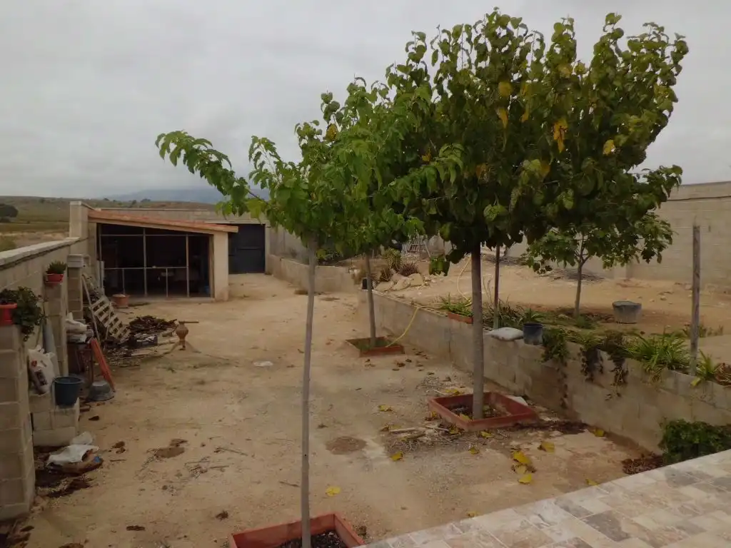 Casa con giardino in vendita a El Pinós / Pinoso, imagen 10