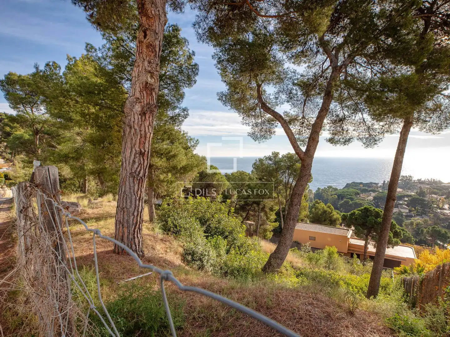 Terreno rustico in vendita a Santa Cristina - Sant Francesc, imagen 4
