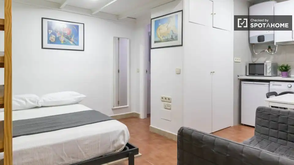 Bedroom of Study for share in Madrid  with Air Conditioner, Heating and Terrace