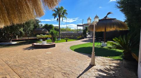 Photo 5 of Premises to rent in Sa Torre, Illes Balears