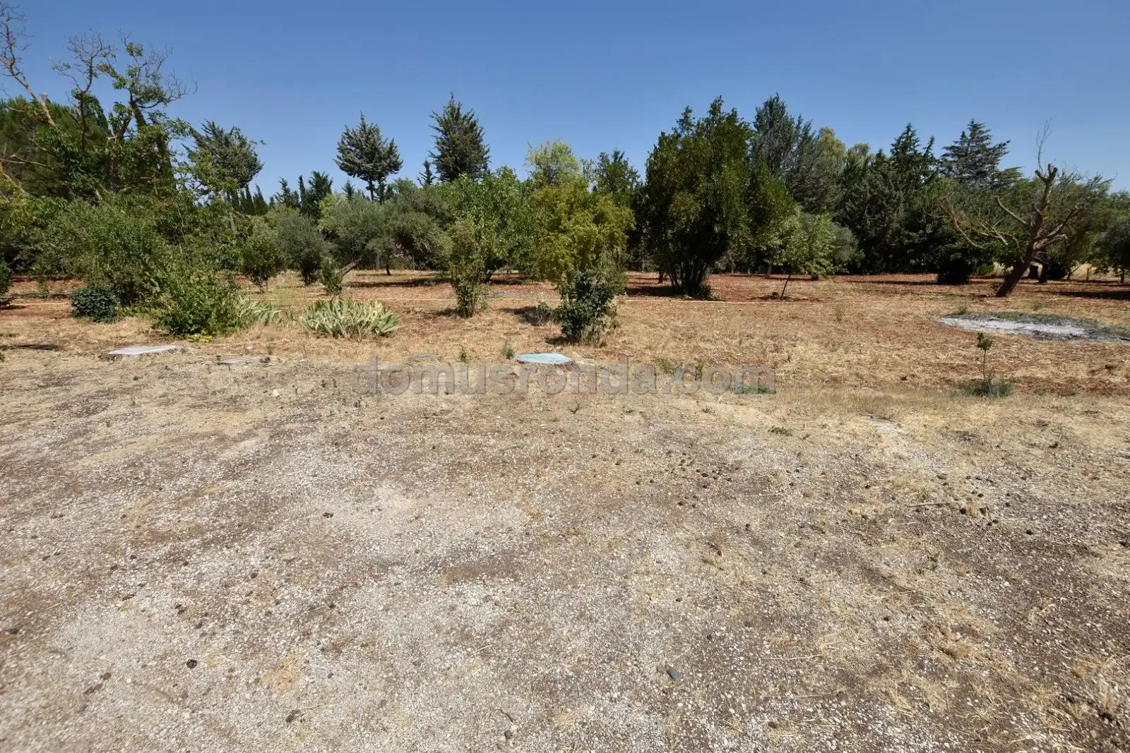 Finca rústica en venta en Ronda con Terraza y Amueblado