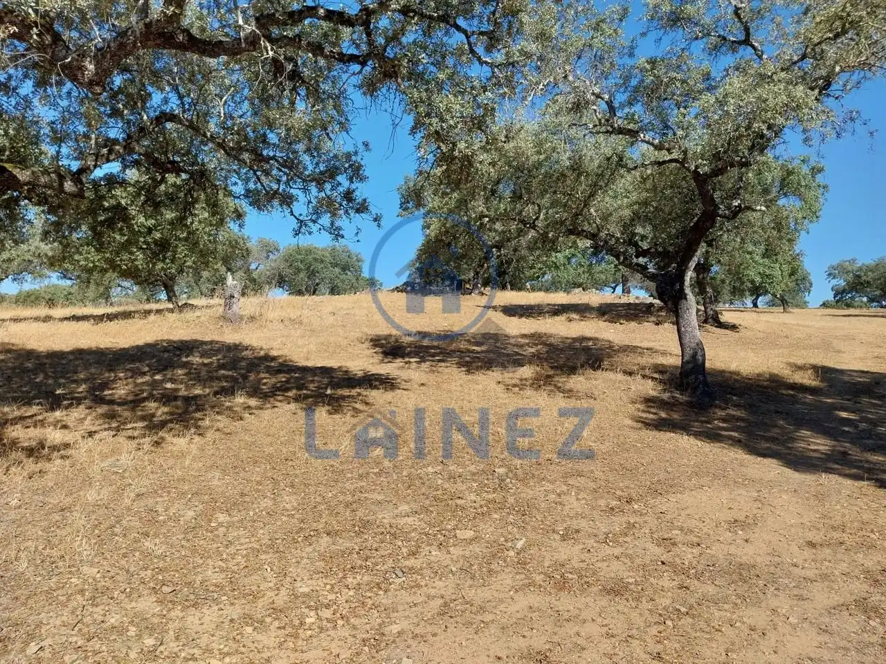 Lands and plots for sale in Fuente Obejuna, imagen 32