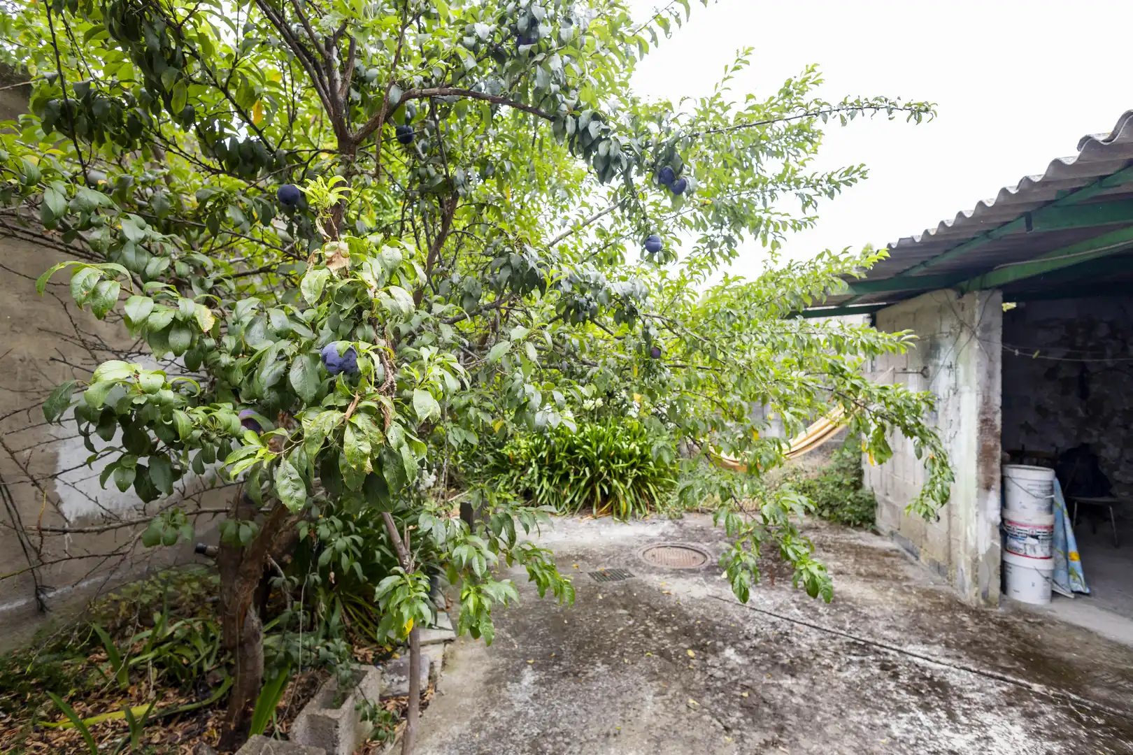 Jardín de Casa o chalet en venta en Icod de los Vinos con Jardín privado, Terraza y Trastero