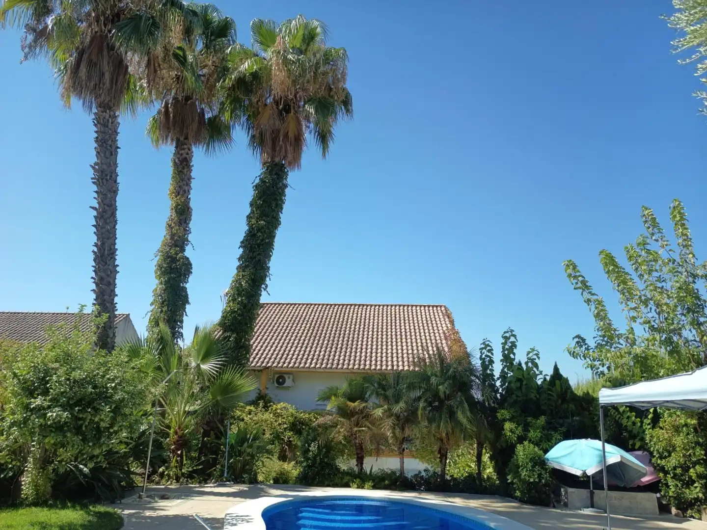 Maison avec piscine à vendre à Periurbano Este - Campiña, imagen 62