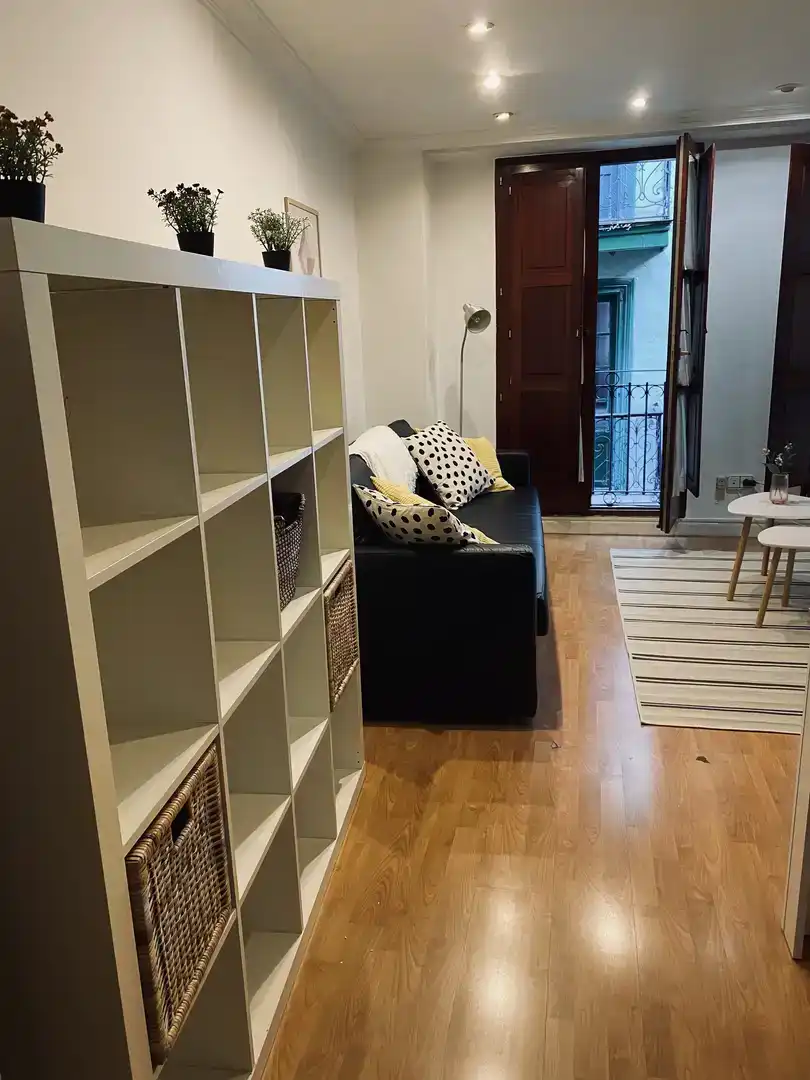 Sala d'estar de Pis de lloguer en Centro - Ayuntamiento