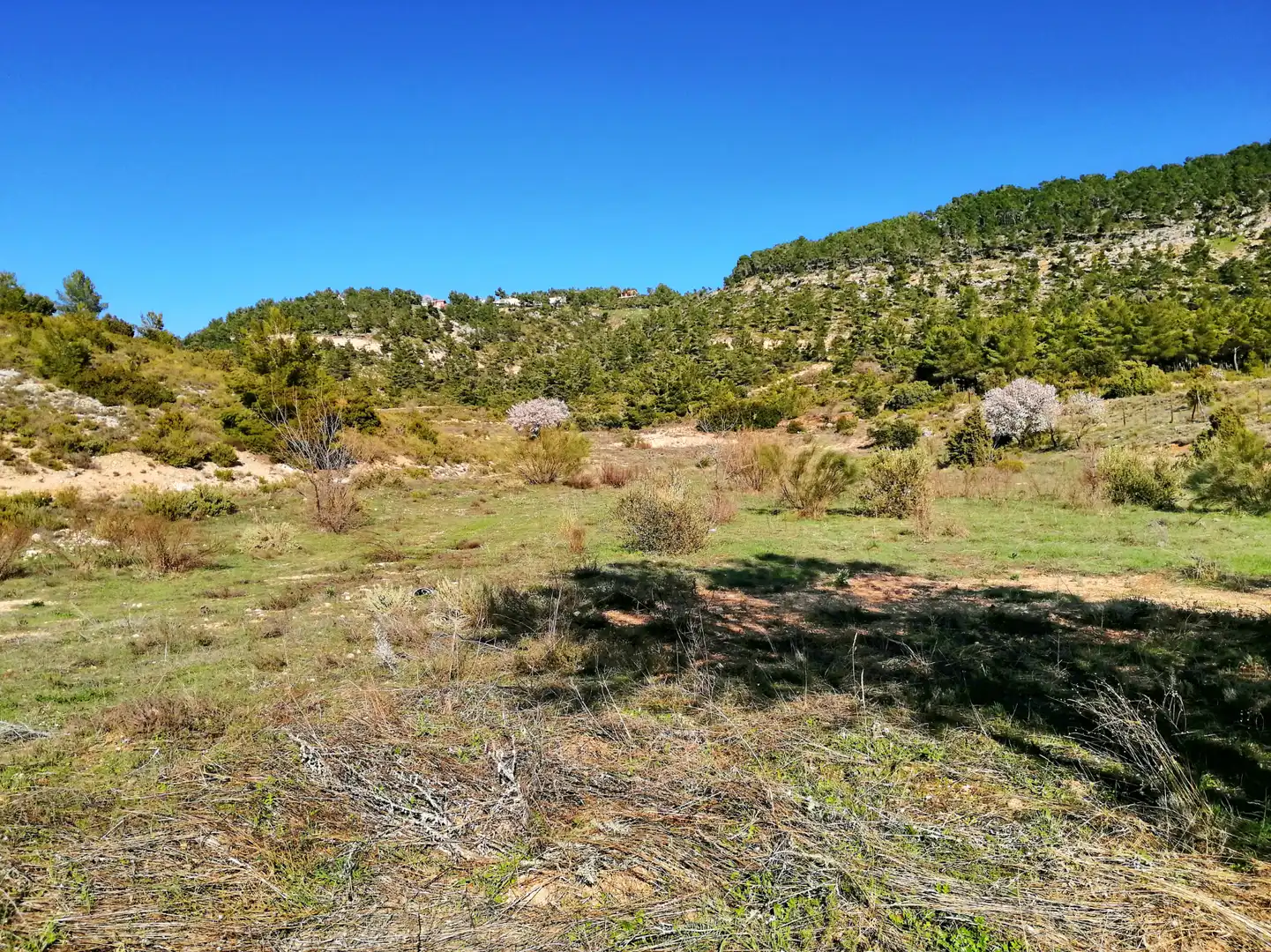 Terreno en venta en Albalate de Zorita