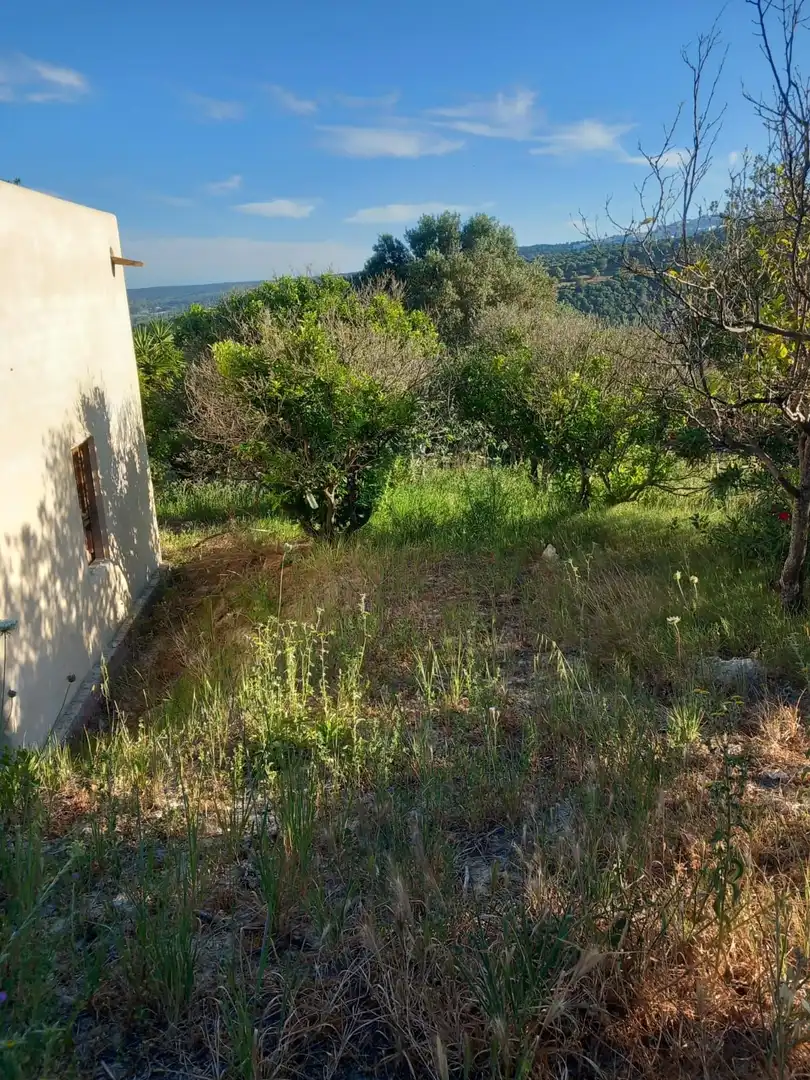 Terreny rústic en venda a El Palmar, imagen 19