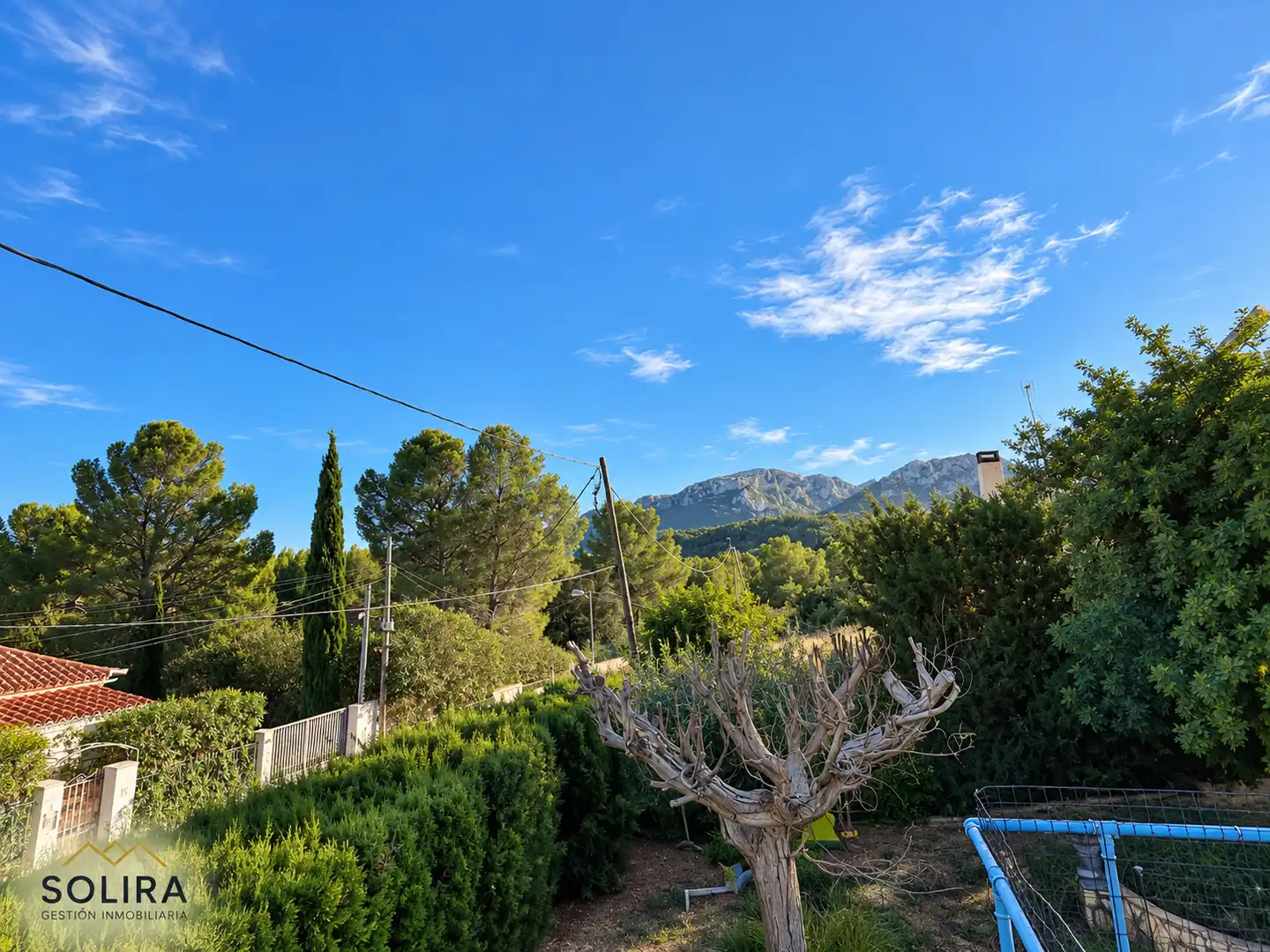 Detached house with pool for sale in Carrer de la Violeta 4, imagen 38