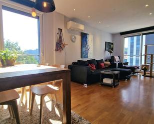 Living room of Flat for sale in Donostia - San Sebastián   with Air Conditioner, Terrace and Balcony