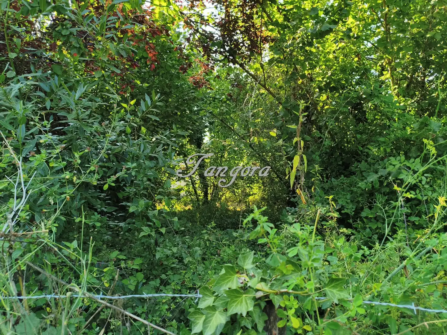 Landhaus mit Garten zum Verkauf in Olakoibar Kalea, imagen 6