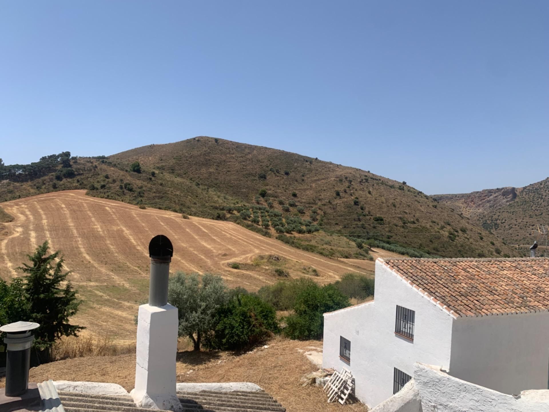 Exterior view of House or chalet for sale in Alcaucín  with Terrace, Storage room and Balcony