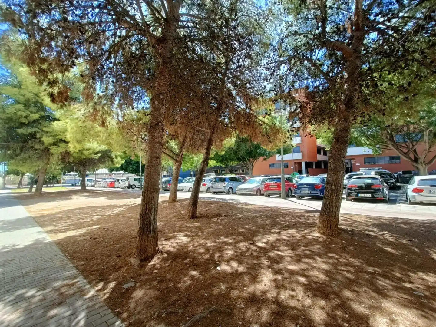 Duplex avec terrasse à vendre à Centro, imagen 58