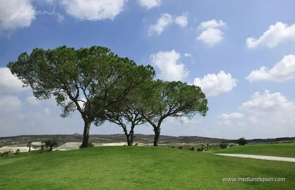 Villa avec piscine à vendre à Desamparados - Hurchillo - Torremendo, imagen 10