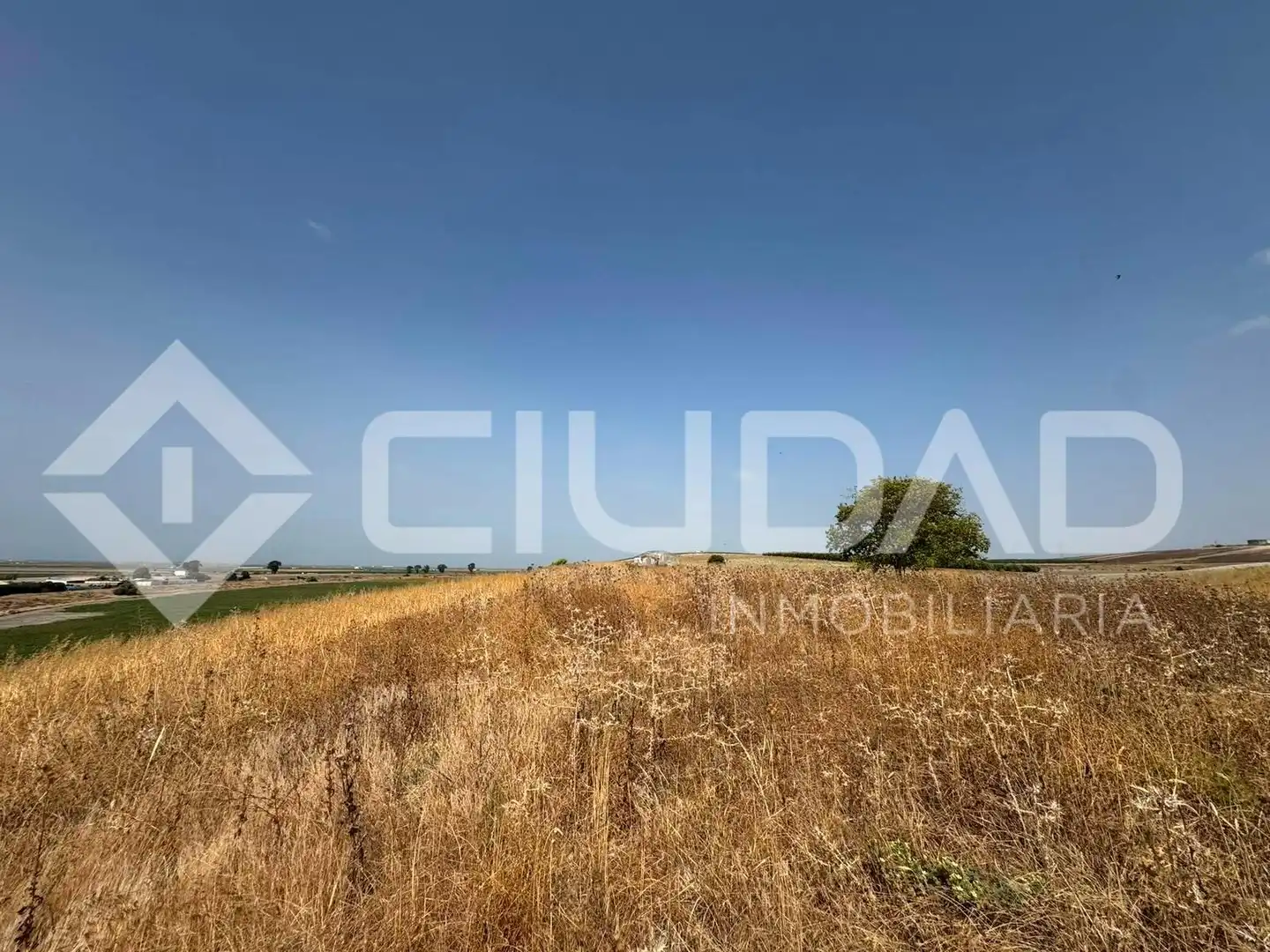 Lands and plots for sale in Lebrija, imagen 3