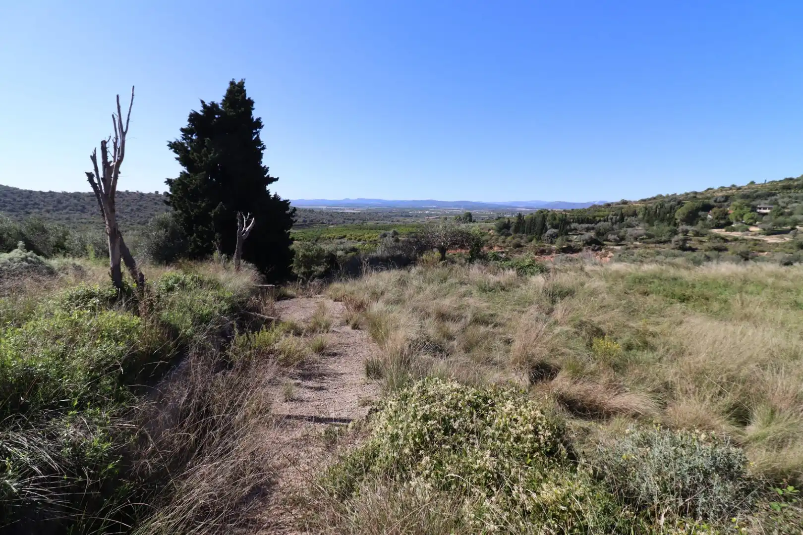 Grundstücke zum Verkauf in Ulldecona