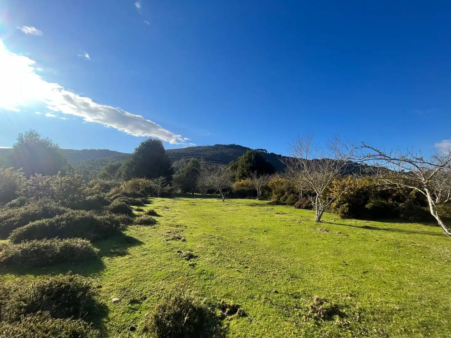 Terreno rustico in vendita a O Rosal, imagen 7