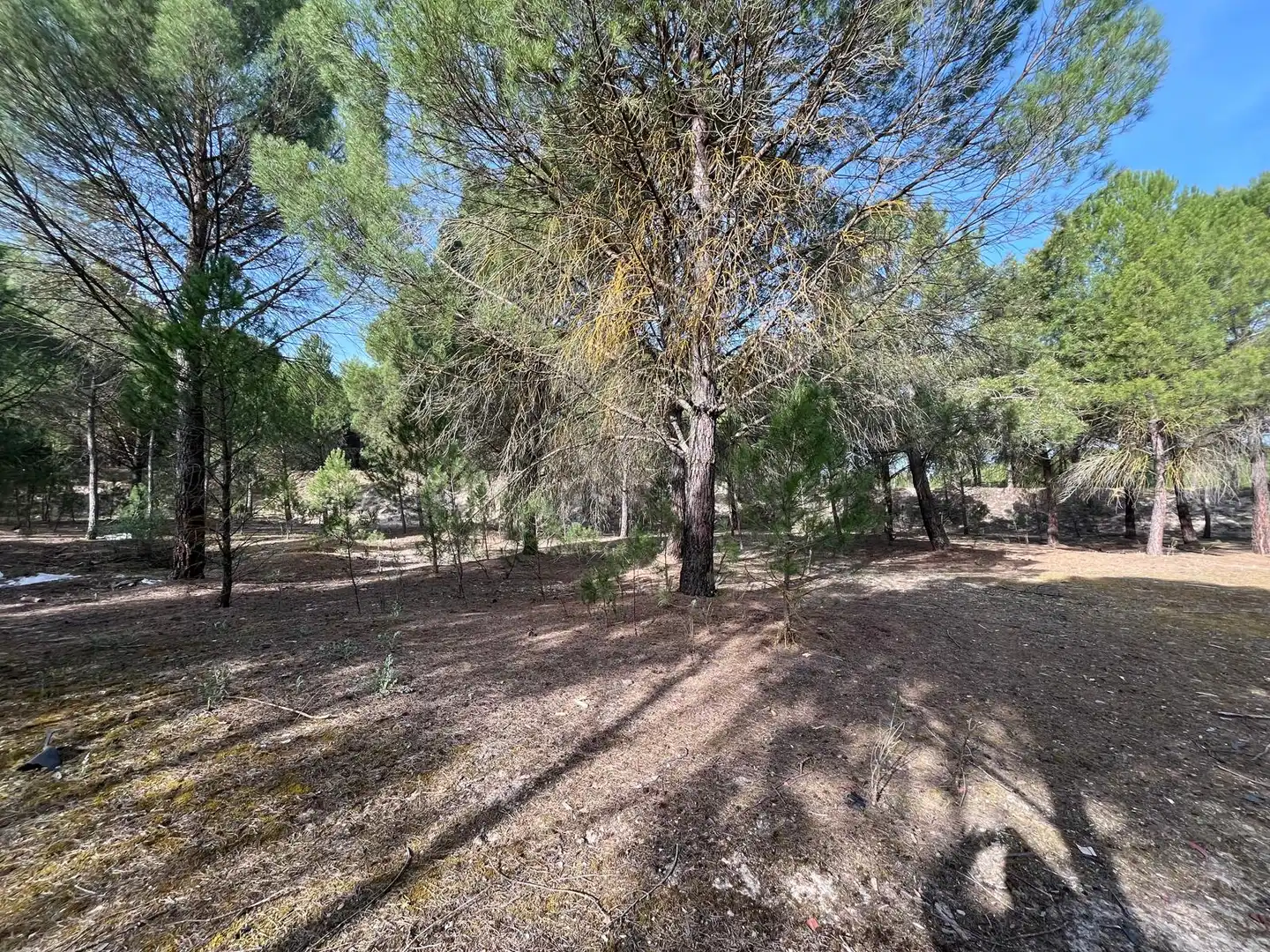 Terreno en venta en Tudela de Duero