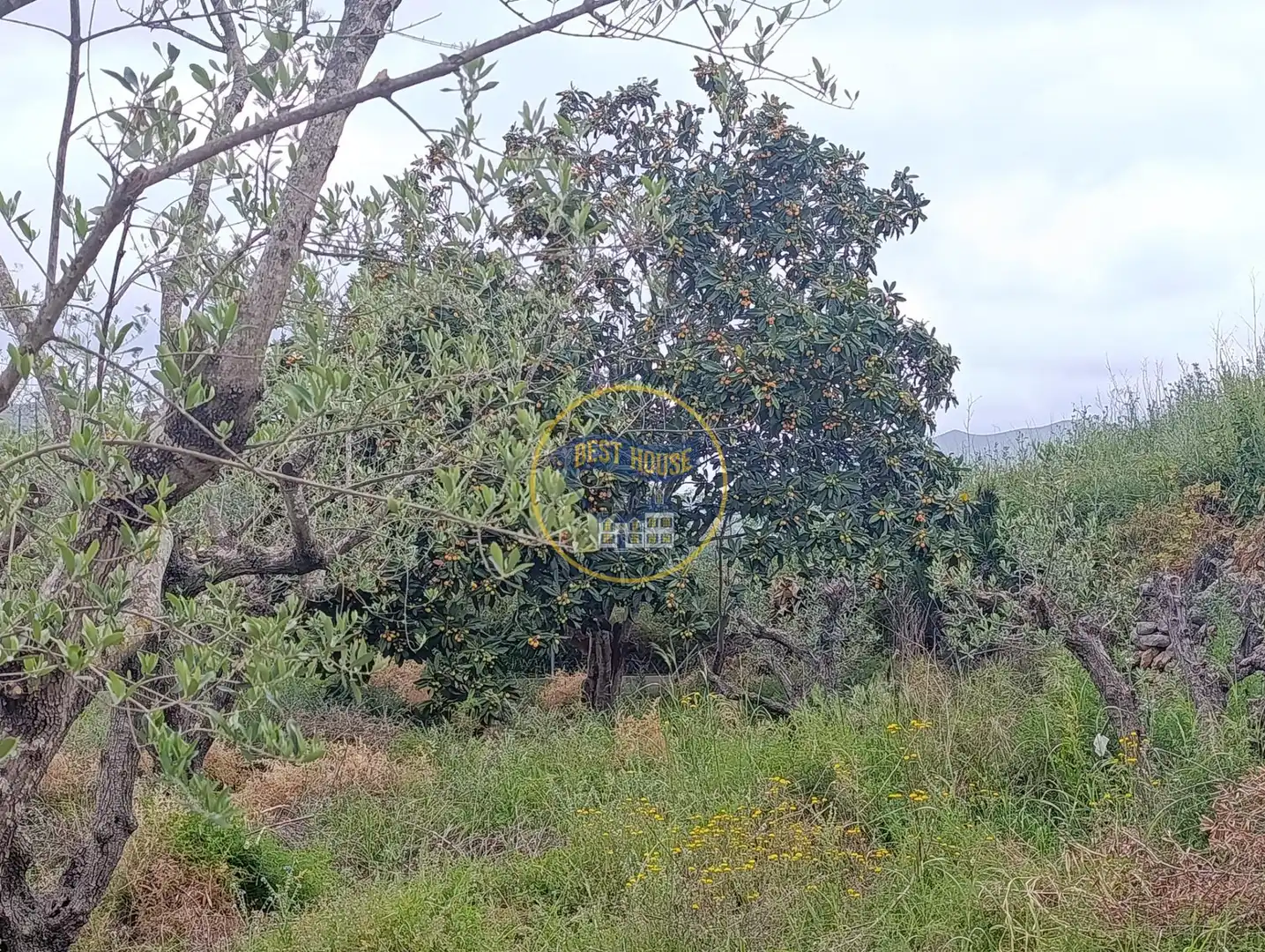 Casa o chalet en venta en Aielo de Malferit