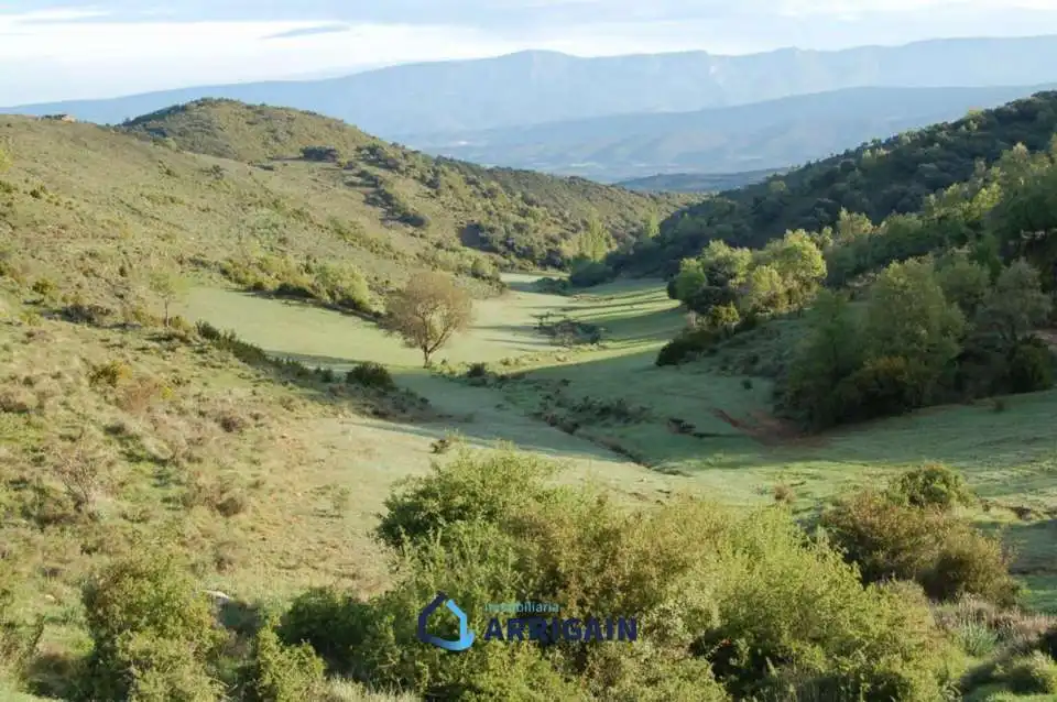 Casa o chalet en venta en La Moraleja con Jardín privado