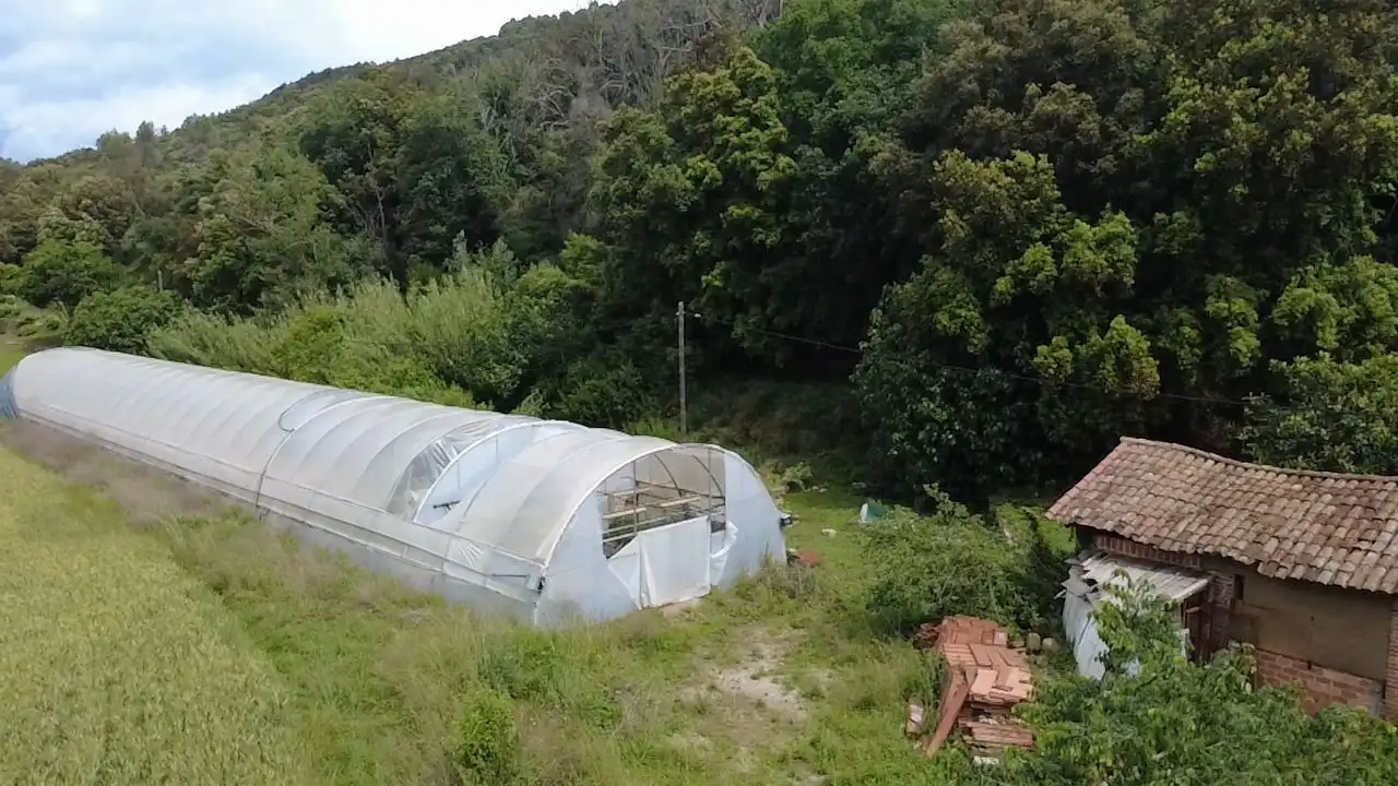 Jardí de Residencial en venda en Amer