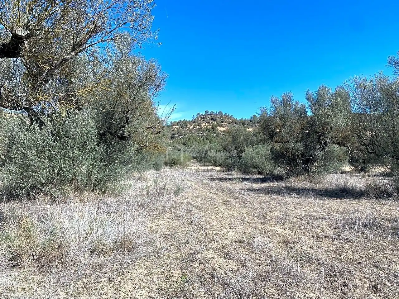 Terrain rustique à vendre à Aixalella, imagen 35