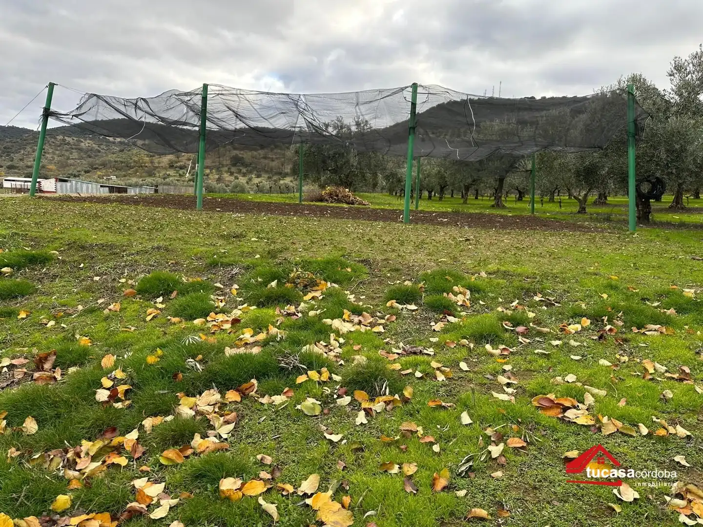 Terreno rustico in vendita a Villanueva del Rey, imagen 16