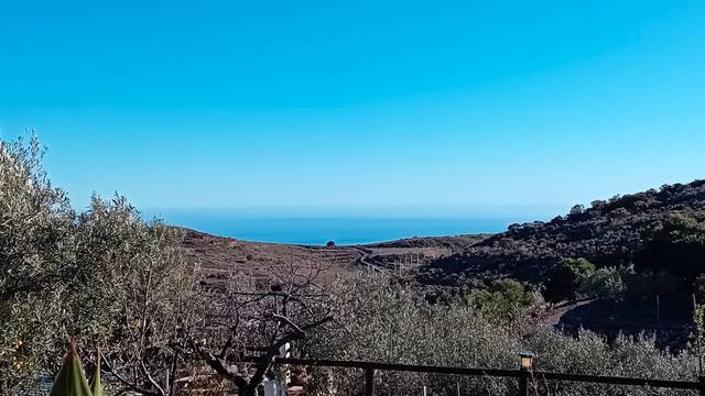 Finca rústica en Venta en Felix