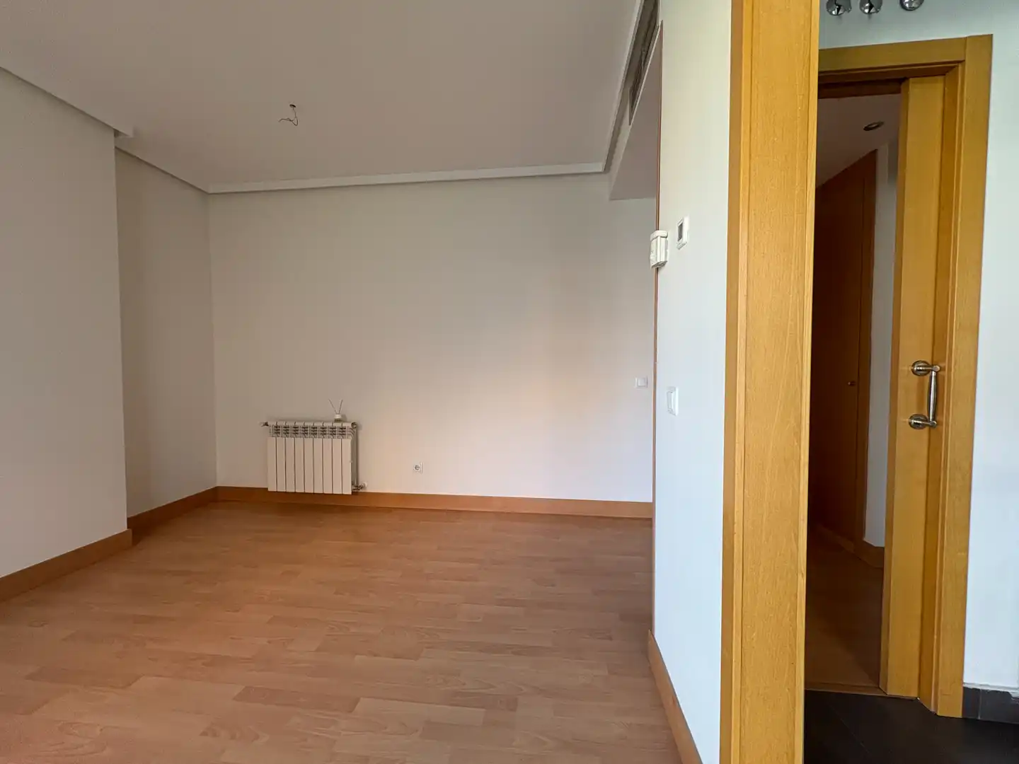 Flat for rent in Calle de López de Hoyos, 159, Ciudad Jardín